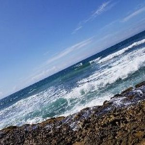 Meet your Posher, Iris